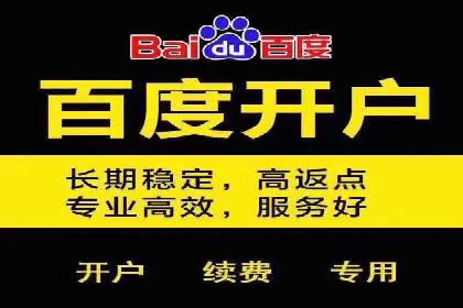 案例解析：百度推广优化，助力企业增长